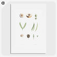 1-52_La-Botanique_picture