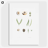 1-52_La-Botanique_picture