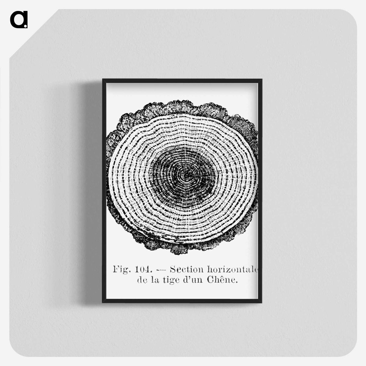 1-52_Les-Palmiers-Histoire-Iconographique_blk-crop