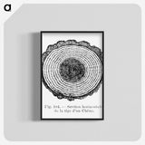 1-52_Les-Palmiers-Histoire-Iconographique_blk-crop