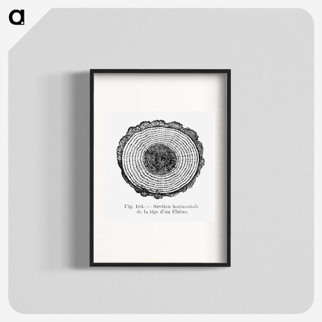 1-52_Les-Palmiers-Histoire-Iconographique_blk