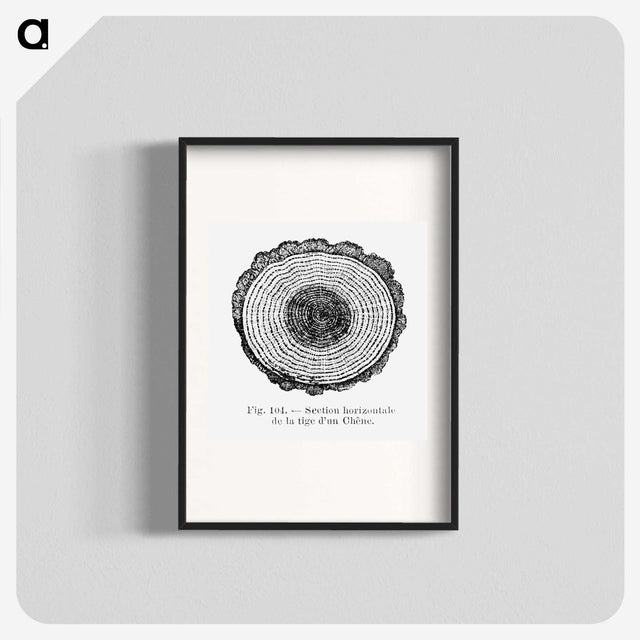 1-52_Les-Palmiers-Histoire-Iconographique_blk