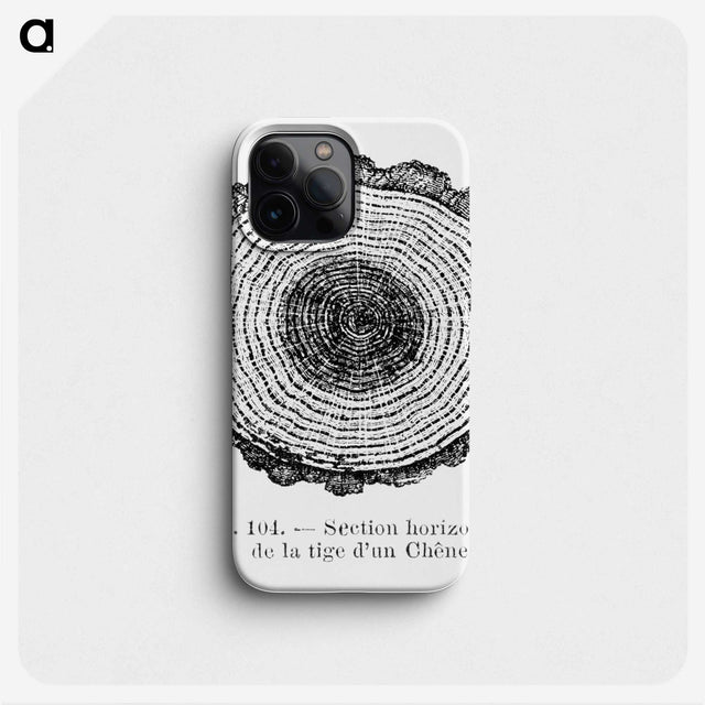 1-52_Les-Palmiers-Histoire-Iconographique_phone