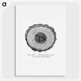 1-52_Les-Palmiers-Histoire-Iconographique_picture