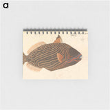 A Fish
 - ルイージ バルガーニ Memo.
