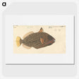 1-52_Luigi-Balugani_picture