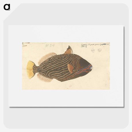 1-52_Luigi-Balugani_picture