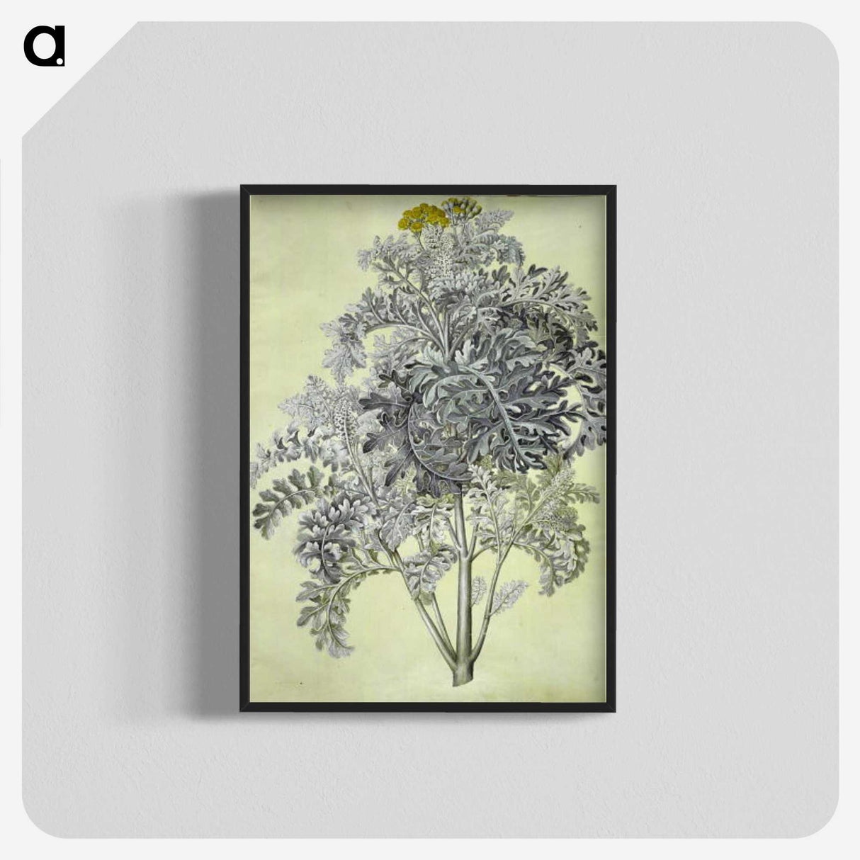 1-52_Maria-Sibylla-Merian_blk-crop