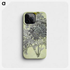 1-52_Maria-Sibylla-Merian_phone