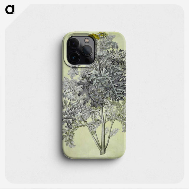 1-52_Maria-Sibylla-Merian_phone