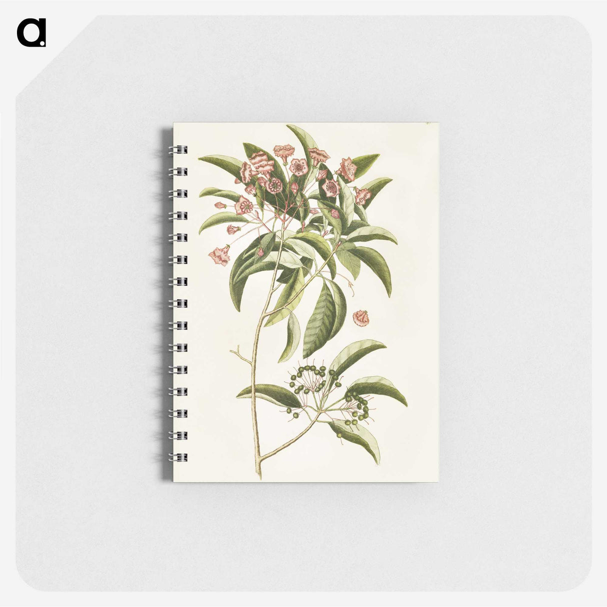1-52_Mark-Catesby_memo