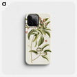 1-52_Mark-Catesby_phone