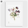 1-52_Mary-Vaux-Walcott_picture