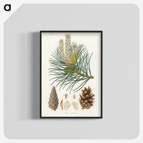1-52_Medical-Botany_blk-crop