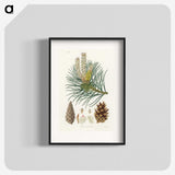 1-52_Medical-Botany_blk