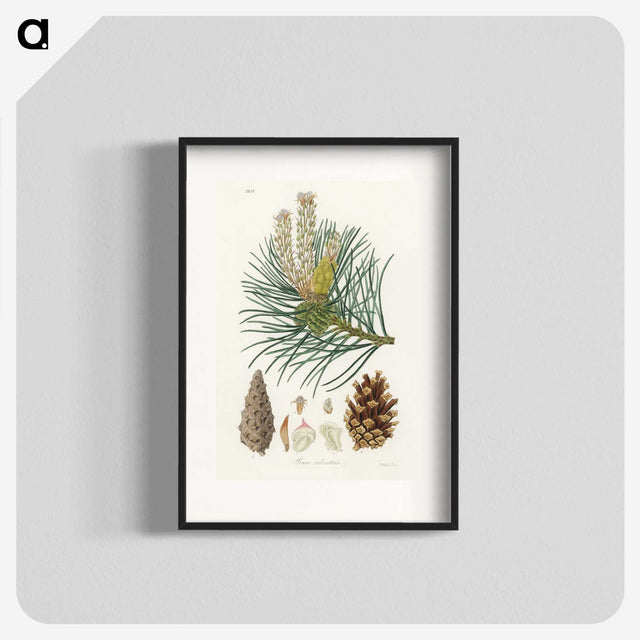 1-52_Medical-Botany_blk