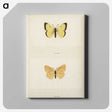 1-52_Moths-and-Butterflies-of-the-United-States_canvas