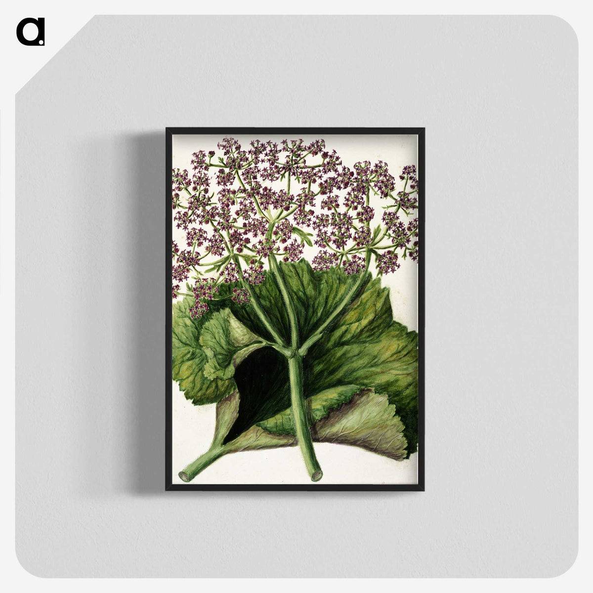 1-52_Native-Flowering-Plants-of-New-Zealand_blk-crop