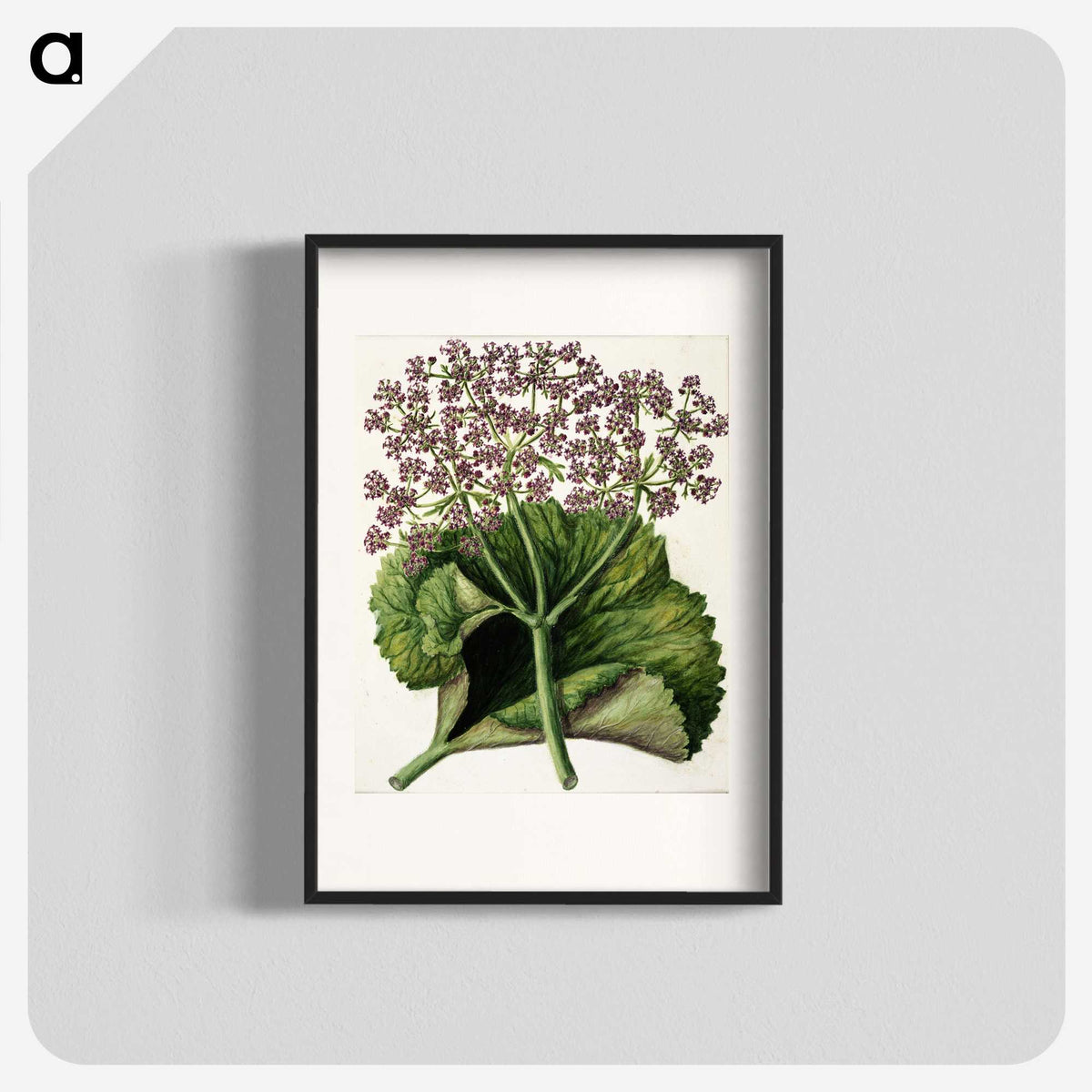 1-52_Native-Flowering-Plants-of-New-Zealand_blk