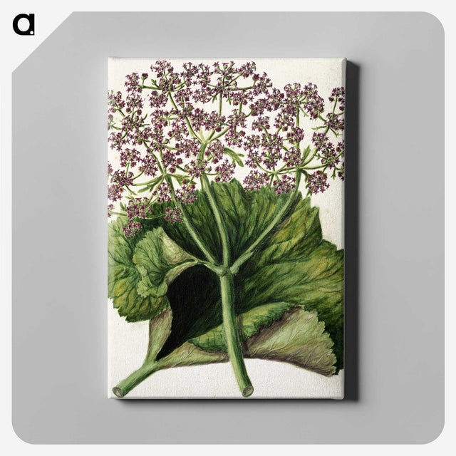 1-52_Native-Flowering-Plants-of-New-Zealand_canvas