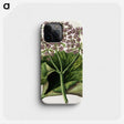 1-52_Native-Flowering-Plants-of-New-Zealand_phone