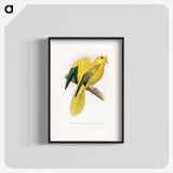 1-52_Parrots-in-Captivity_blk