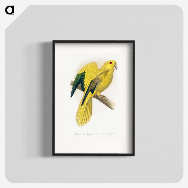 1-52_Parrots-in-Captivity_blk