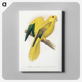 1-52_Parrots-in-Captivity_canvas