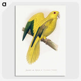 1-52_Parrots-in-Captivity_picture-crop