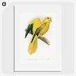 1-52_Parrots-in-Captivity_picture