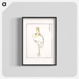 アートポスター-Eastern Great White Egret Illustration
 - 鳥類図鑑 Poster.
