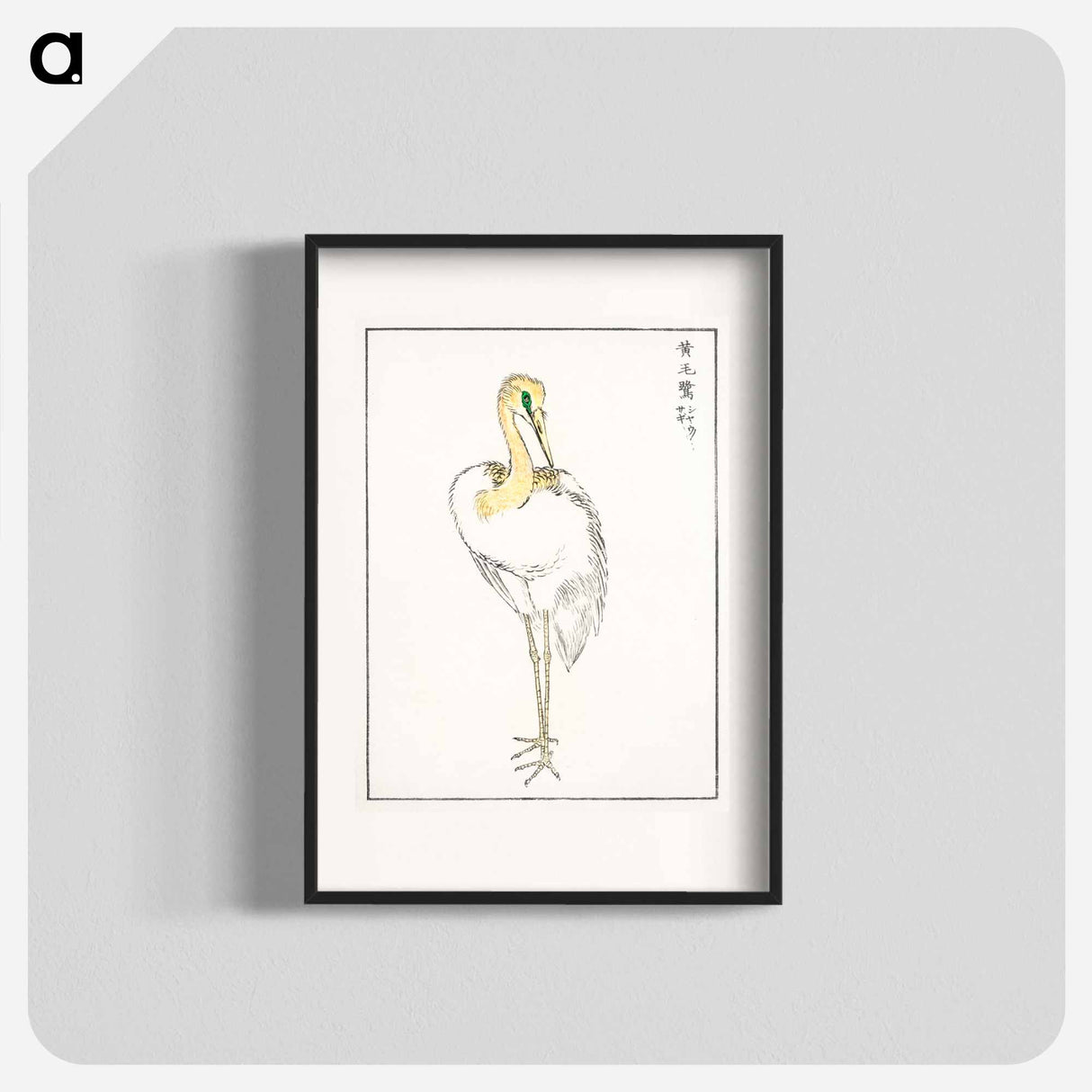 アートポスター-Eastern Great White Egret Illustration
 - 鳥類図鑑 Poster.