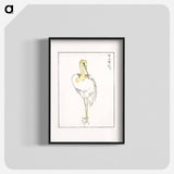 アートポスター-Eastern Great White Egret Illustration
 - 鳥類図鑑 Poster.