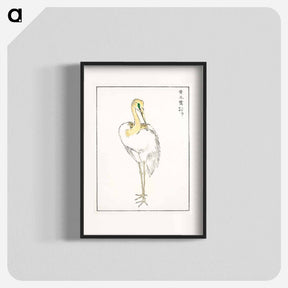 アートポスター-Eastern Great White Egret Illustration
 - 鳥類図鑑 Poster.