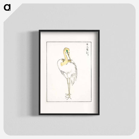 アートポスター-Eastern Great White Egret Illustration
 - 鳥類図鑑 Poster.