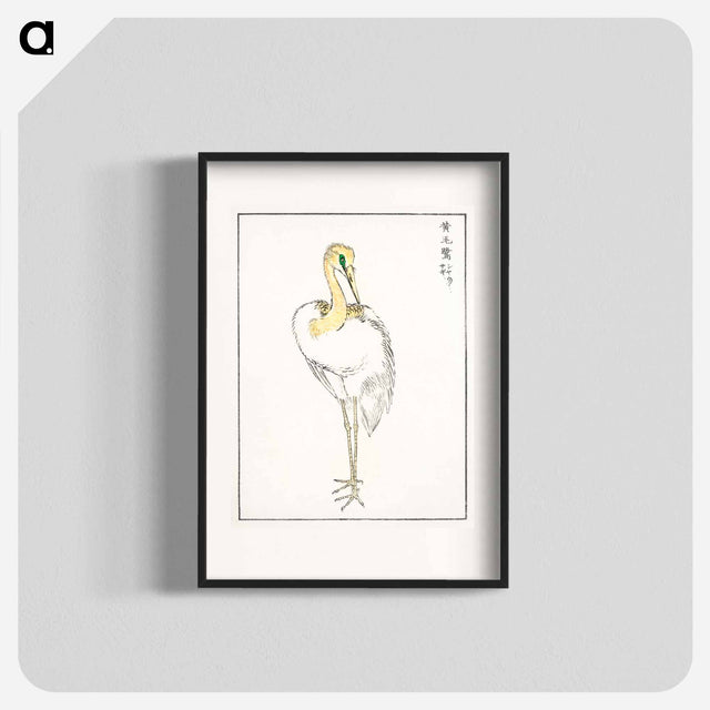 アートポスター-Eastern Great White Egret Illustration
 - 鳥類図鑑 Poster.