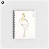 アートメモ帳-Eastern Great White Egret Illustration
 - 鳥類図鑑 Memo.