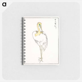 アートメモ帳-Eastern Great White Egret Illustration
 - 鳥類図鑑 Memo.