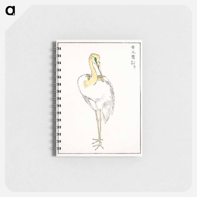 アートメモ帳-Eastern Great White Egret Illustration
 - 鳥類図鑑 Memo.