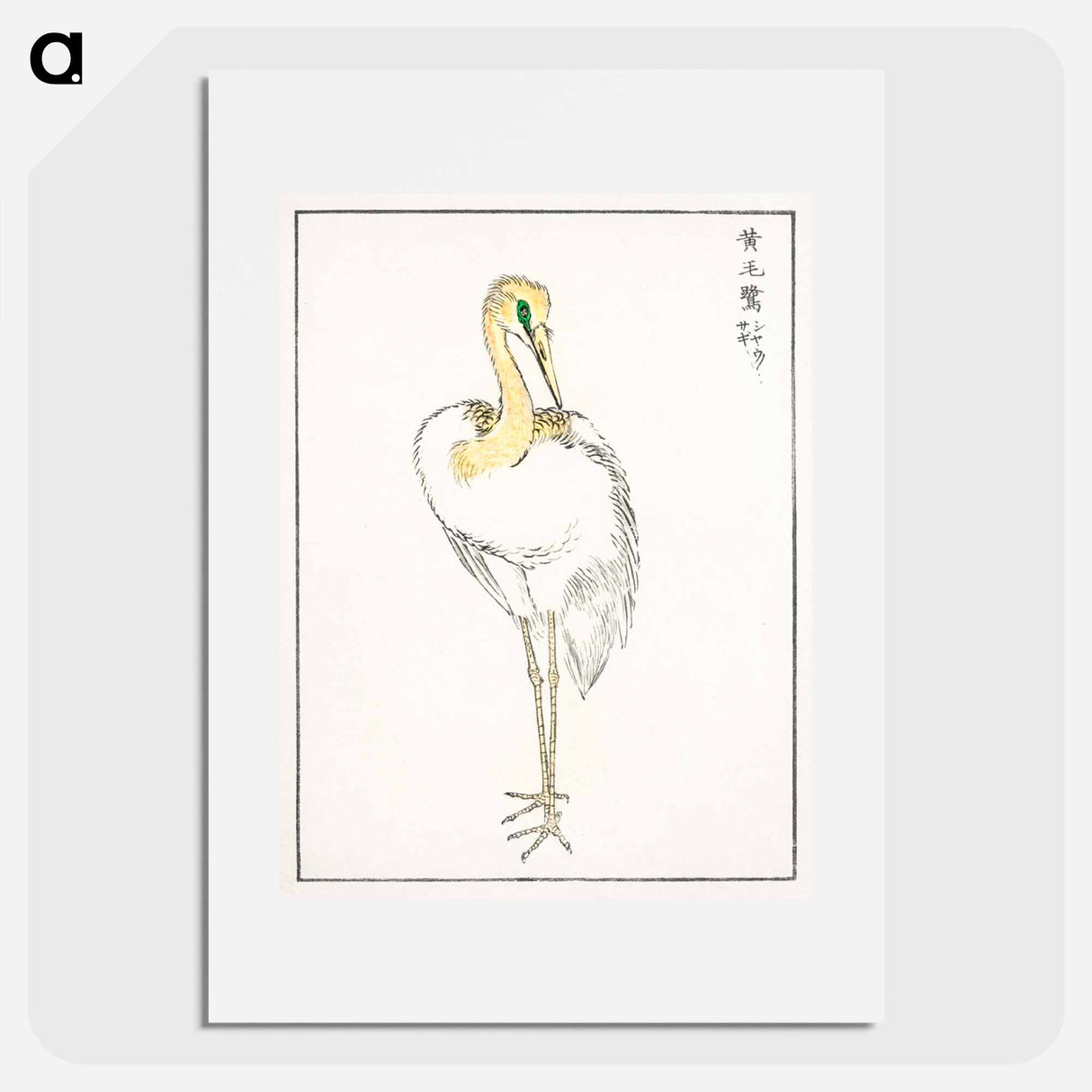 アートポスター-Eastern Great White Egret Illustration
 - 鳥類図鑑 Poster.