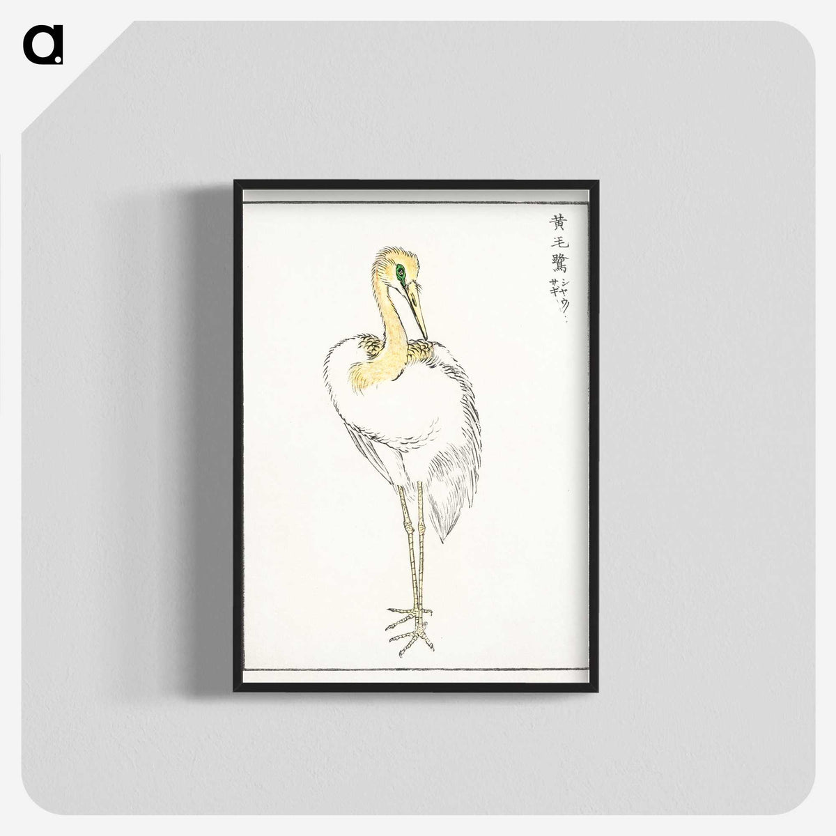 1-52_Pictorial-Monograph-of-Birds_blk-crop