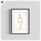 1-52_Pictorial-Monograph-of-Birds_blk