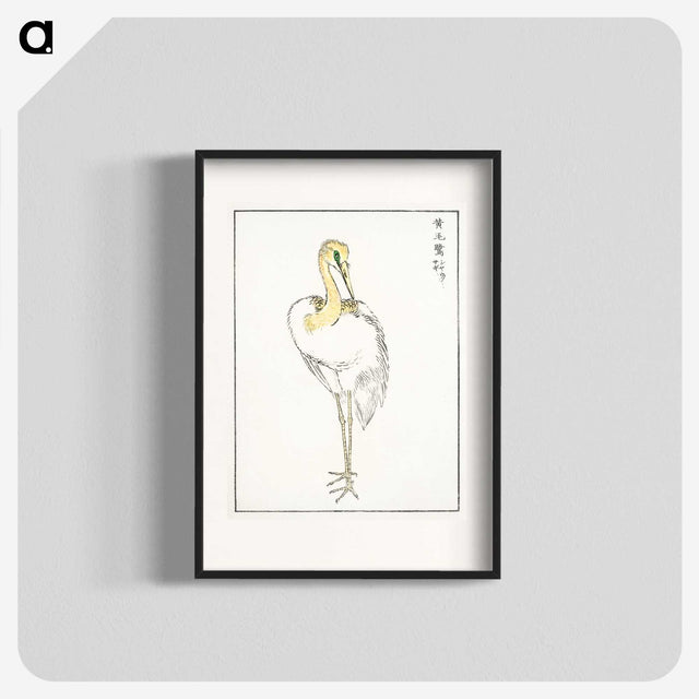 1-52_Pictorial-Monograph-of-Birds_blk