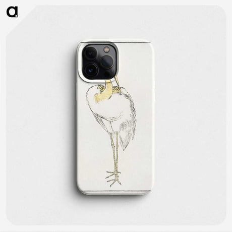 1-52_Pictorial-Monograph-of-Birds_phone
