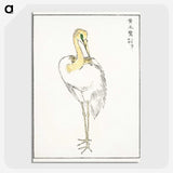 1-52_Pictorial-Monograph-of-Birds_picture-crop