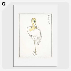 1-52_Pictorial-Monograph-of-Birds_picture