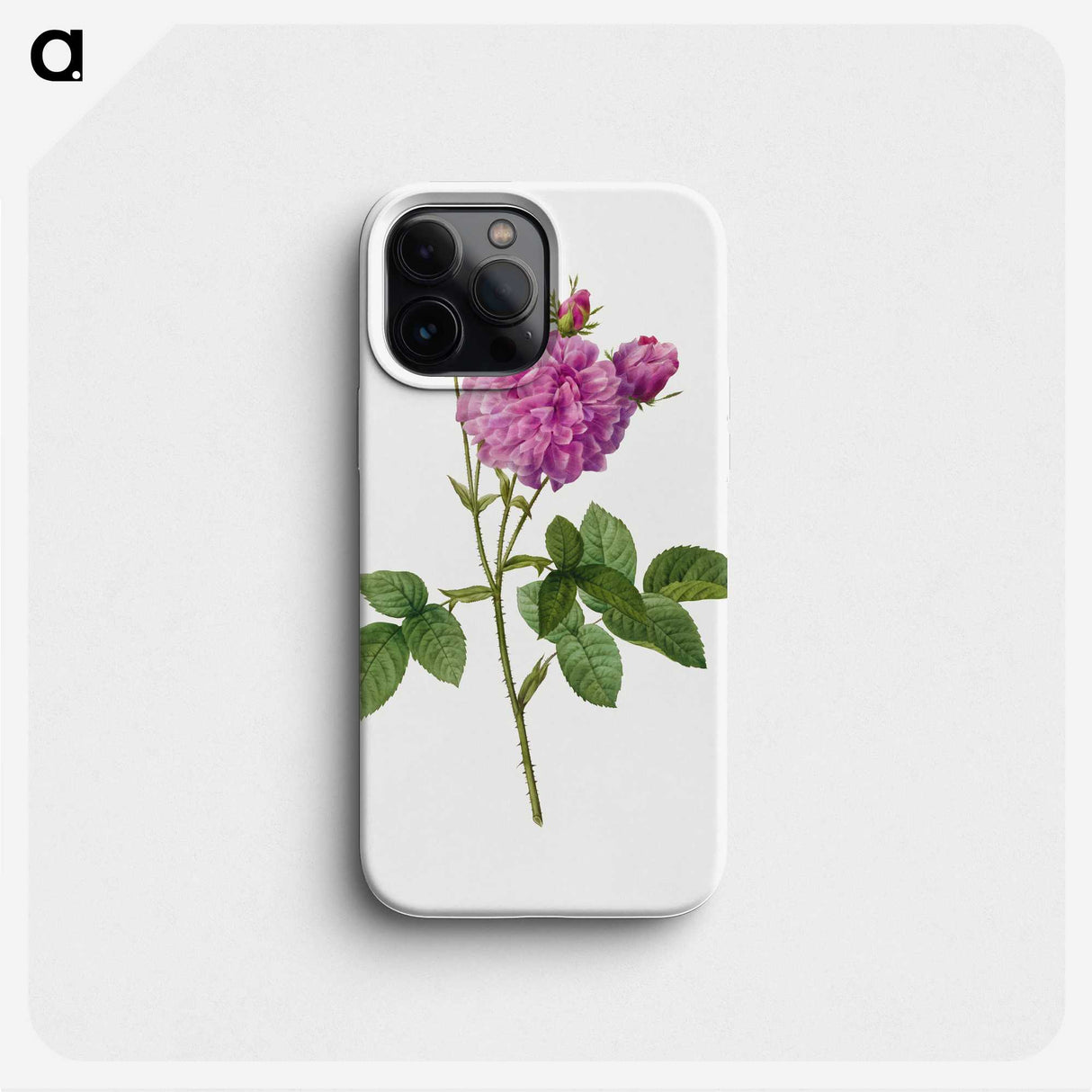 1-52_Pierre-Joseph-Redoute_phone