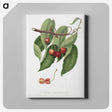 1-52_Pomona-Italiana_canvas