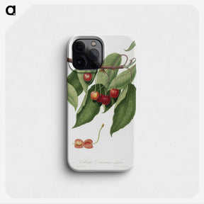 1-52_Pomona-Italiana_phone
