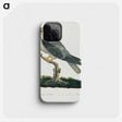 1-52_Robert-Jacob-Gordon_phone